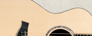 Sitka-spruce-taylor-guitars